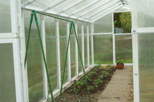 Növénytartó háló PLANT NET 2 x 10 fm (K12/48)