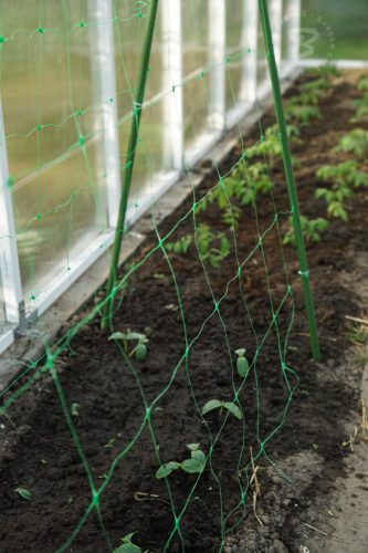 Növénytartó háló PLANT NET 2 x 10 fm (K12/48)
