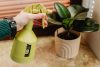 Kézi permetező 0,5L BLOOMY