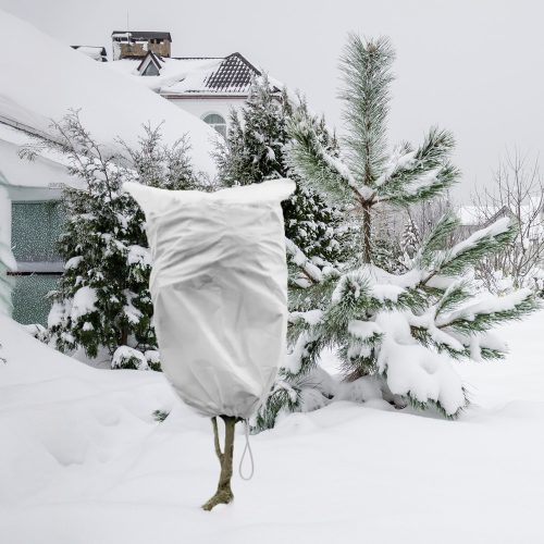 Téli növényvédő zsák 50g/m²,  80cm átmérő, 1,25 x 2m