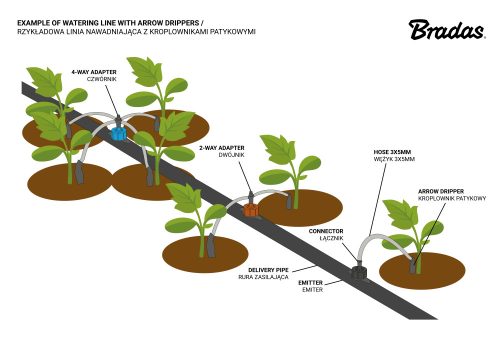 Csepegtető gomba nyomás 2l/h /0,5-3,5bar, kimenet 4mm ( (DSE-0102L)