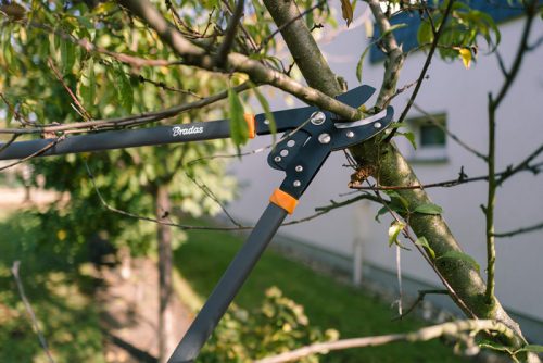 Ágvágó V-SERIES, rávágós