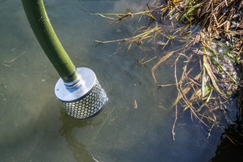 Kosár 50 mm / 2" szívótömlőhöz + 2 db GBS bilincs