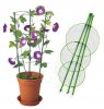 Gyűrűs növénytámasz 60cm